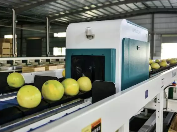 綠萌是柚子分選設備國家高新技術企業，可進行重量、大小、顏色、瑕疵外觀視覺分選，無損檢測糖度，甜度，酸度、空心、浮皮、褐變、果肉損傷、霉心病等內部指標，提供智能全自動蜜柚分選機,蜜柚分選設備,蜜柚選果機,蜜柚選果設備,蜜柚分級機,沙田柚分揀機,柚子大小稱重分選方案和價格
