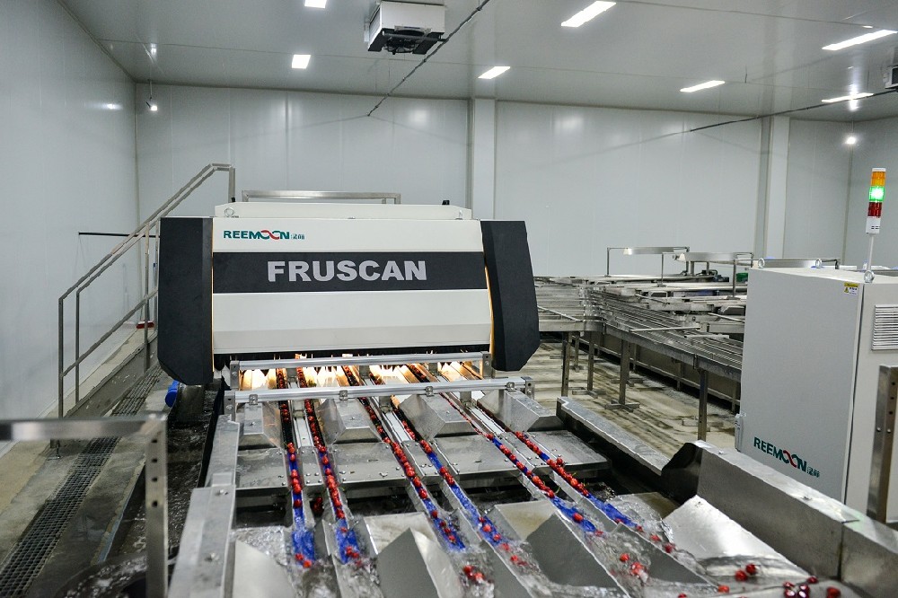 2021世界水果產業博覽會暨世界水果產業大會（FRUIT EXPO 2021）將于9月24-26日在廣州·廣交會展館隆重召開，與廣大業界同仁一起洞悉行業新風向，探索產業發展新模式，幫助參展企業增強品牌影響力，挖掘新市場、新商機，共同打造一場精彩紛呈的果業盛筵。長期以來，FRUIT EXPO組委會一直致力于為大家帶來專業、高端、國際化的