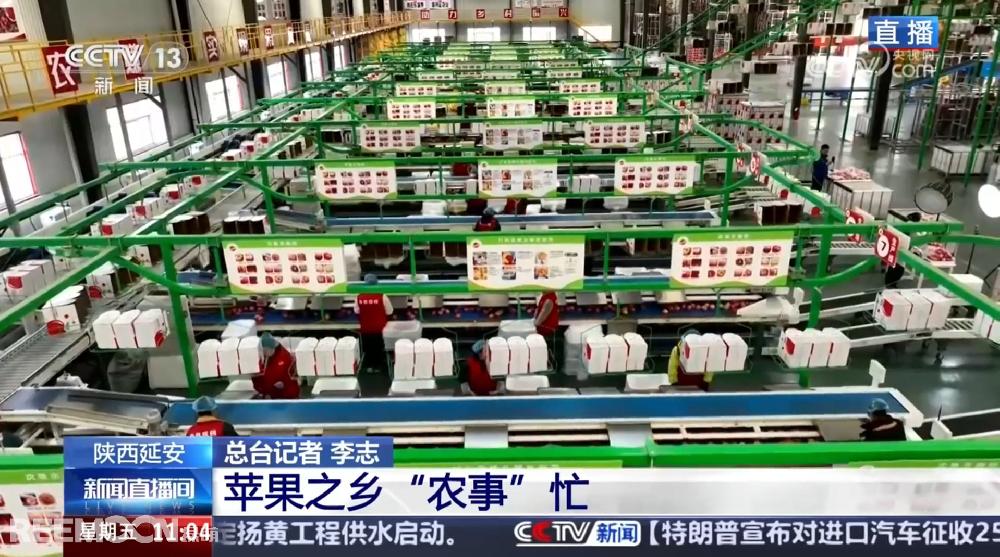 春天是希望的季節(jié)陜西延安是我國蘋果的優(yōu)生區(qū)和主產(chǎn)區(qū)蘋果之鄉(xiāng)正呈現(xiàn)出一片繁忙的景象3月28日，CCTV13新聞頻道聚焦陜西延安蘋果產(chǎn)業(yè)發(fā)展展現(xiàn)中國農(nóng)業(yè)現(xiàn)代化與鄉(xiāng)村振興的生動實踐PART.01智能分選線：給蘋果做“體檢”，助力果農(nóng)增收致富延安甘泉縣分揀車間內(nèi)綠萌智能分選設(shè)備高效運(yùn)轉(zhuǎn)通過人工智能和圖像處理技術(shù)對傳送帶上的